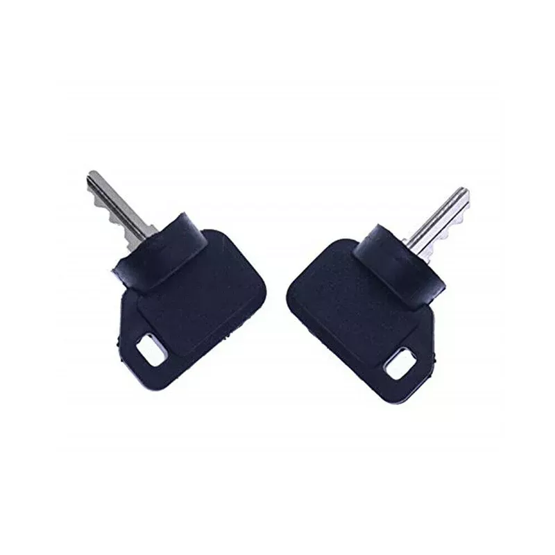 2Pcs Ignition Switch Key 09287000 09089700 for Ariens Gravely