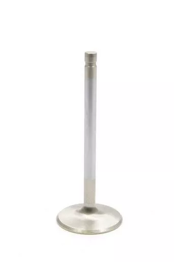 Manley Sbc S/M 2.020In Intake Valve