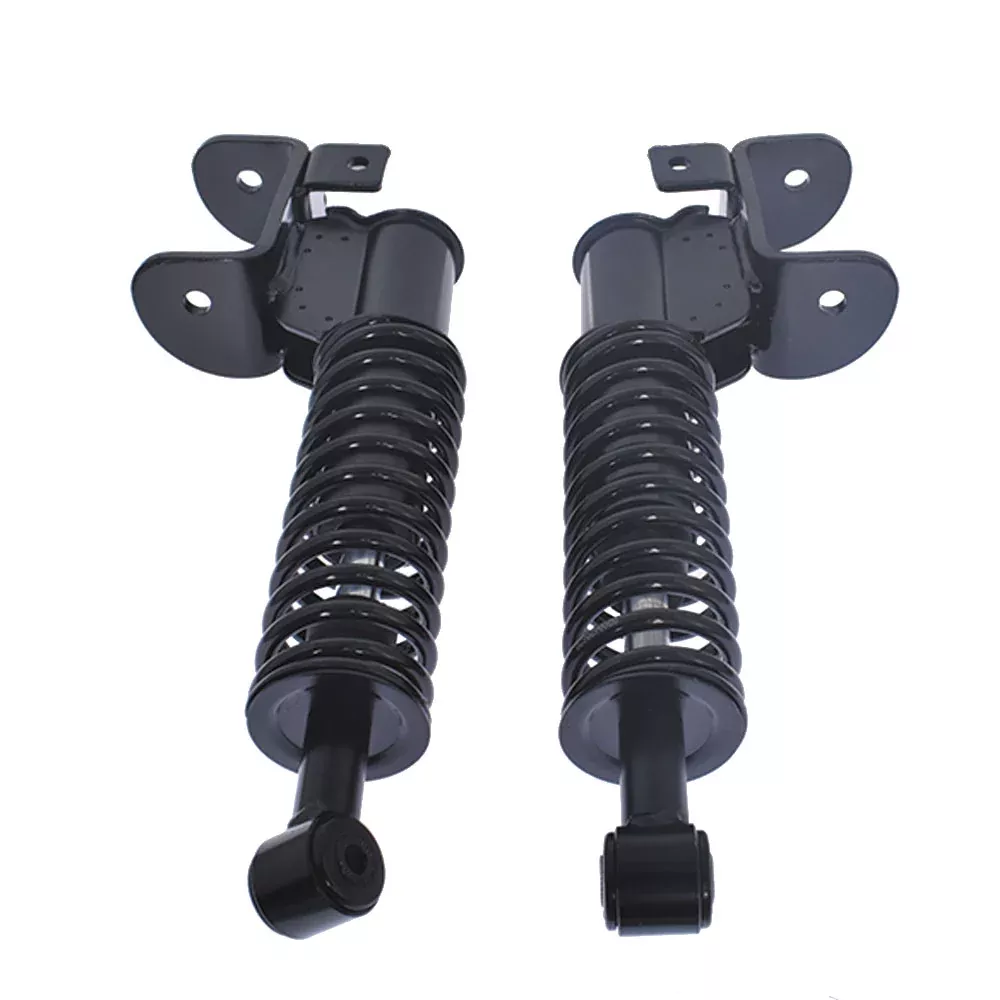 Set of 2 Front Shock Strut Assembly for EZGO RXV Golf Carts 2008+ 603024 601246