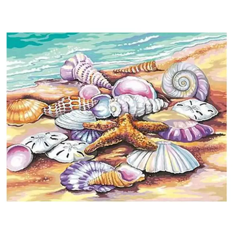 Shells (Sea Shore) Paint By Number 11″*14″